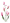 アクセント赤小