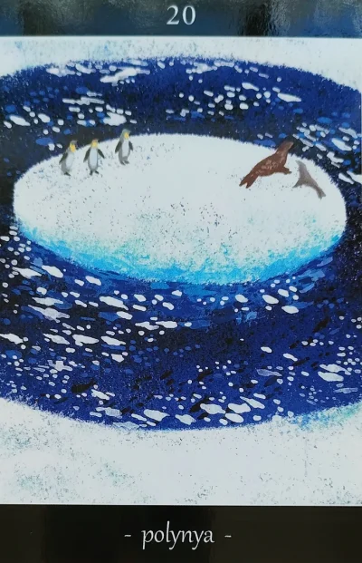 氷の上